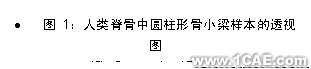 文本框: •	圖 1:人類(lèi)脊骨中圓柱形骨小梁樣本的透視圖  (Ø= 8 mm , L= 15 mm)  